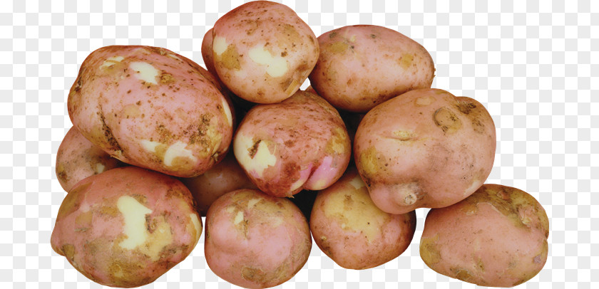 Patatoes Russet Burbank Potato Yukon Gold French Fries Clip Art Irish Candy PNG