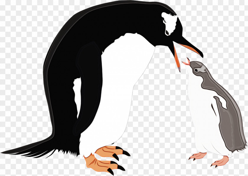 Penguins Birds Flightless Bird Beak Meter PNG
