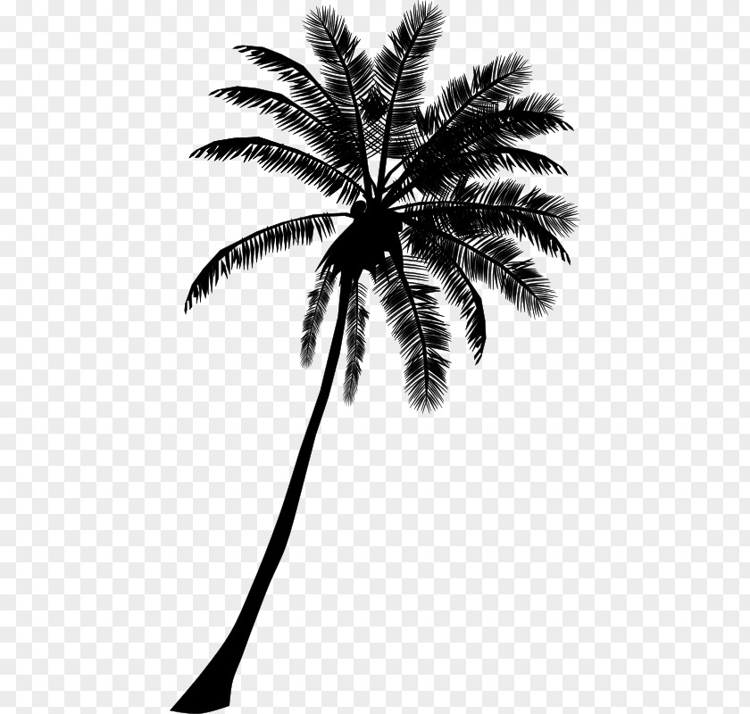 Tree Arecaceae Drawing Coconut Clip Art PNG