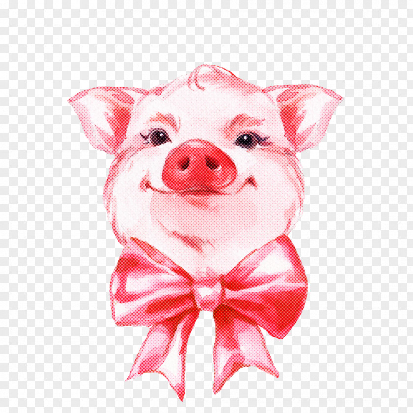 Pink Suidae Snout Livestock Smile PNG