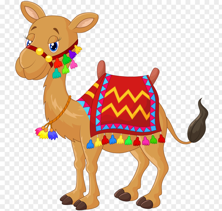 Camel Royalty-free Cartoon PNG