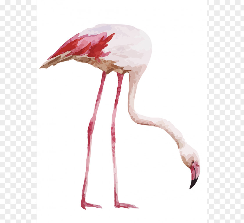 Flamingo Drawing Watercolor Painting Royalty-free PNG