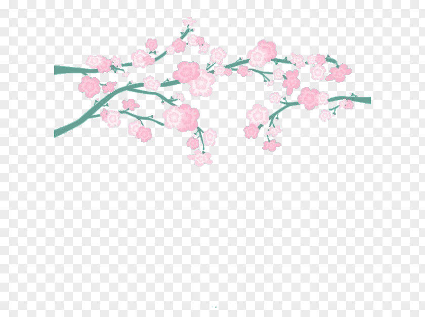 Japanese Cherry Color National Blossom Festival Cerasus PNG