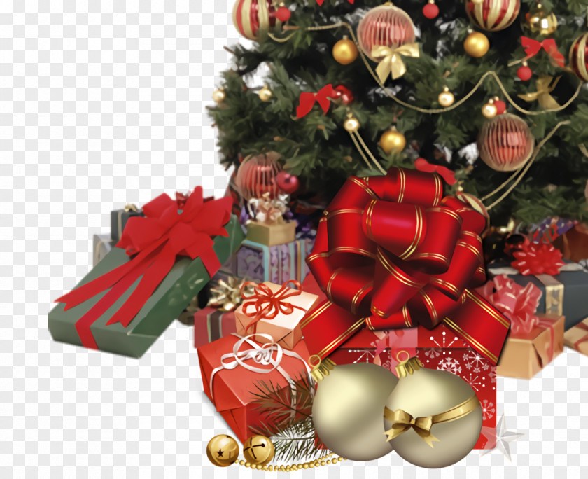 Plant Interior Design Christmas Gift New Year PNG