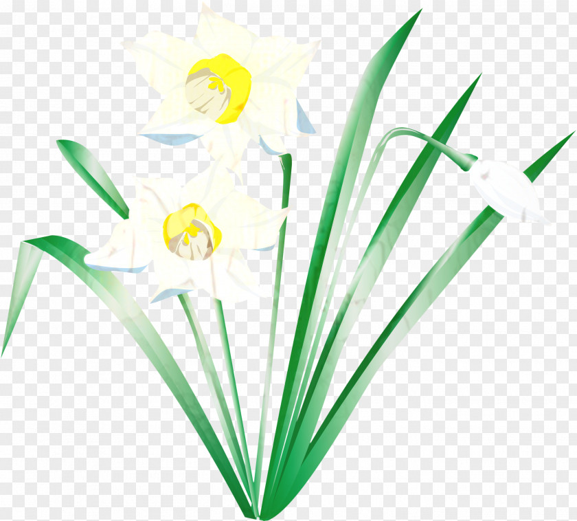 Plant Stem Grass Family Green Background PNG