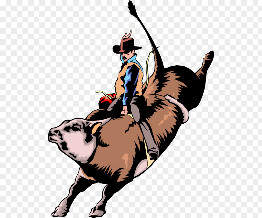 Bull Clip Art Riding Illustration Rodeo Image PNG