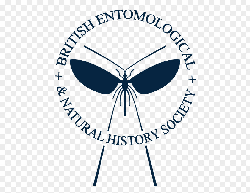English History Class Logo Brand Design Entomology Product PNG