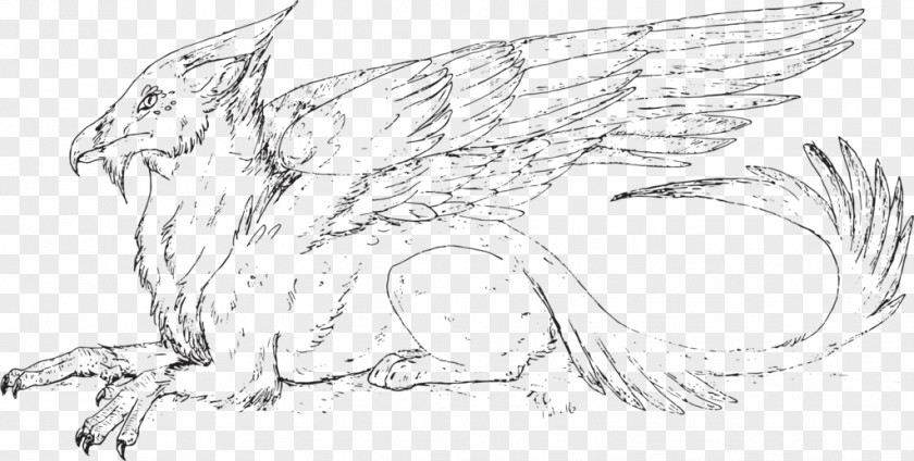 Simple Wings Coloring Pages Sketch Carnivores Fauna Line Art Cartoon PNG