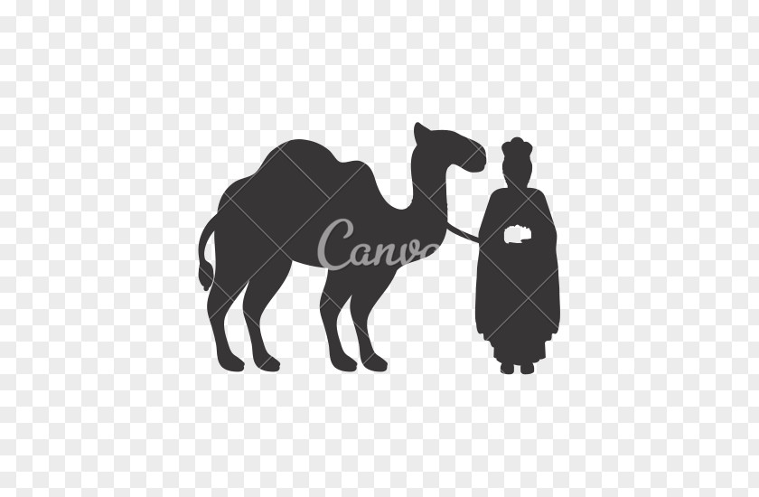 Wise Man Camel Drawing Royalty-free PNG