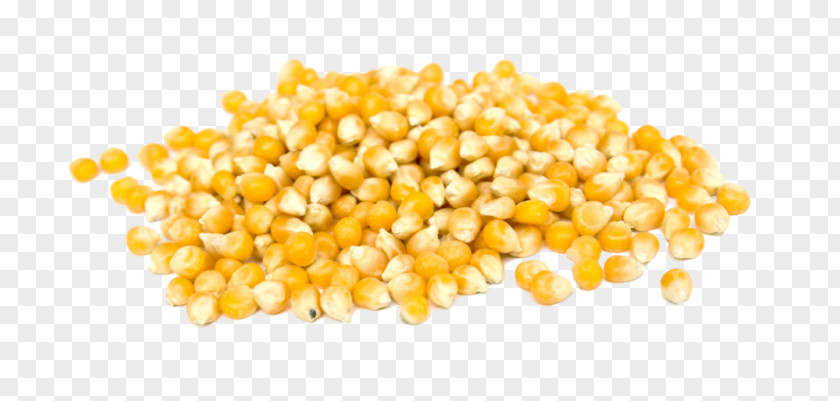 Yellow Bean Corn On The Cob Popcorn Sweet Kernel Grain PNG