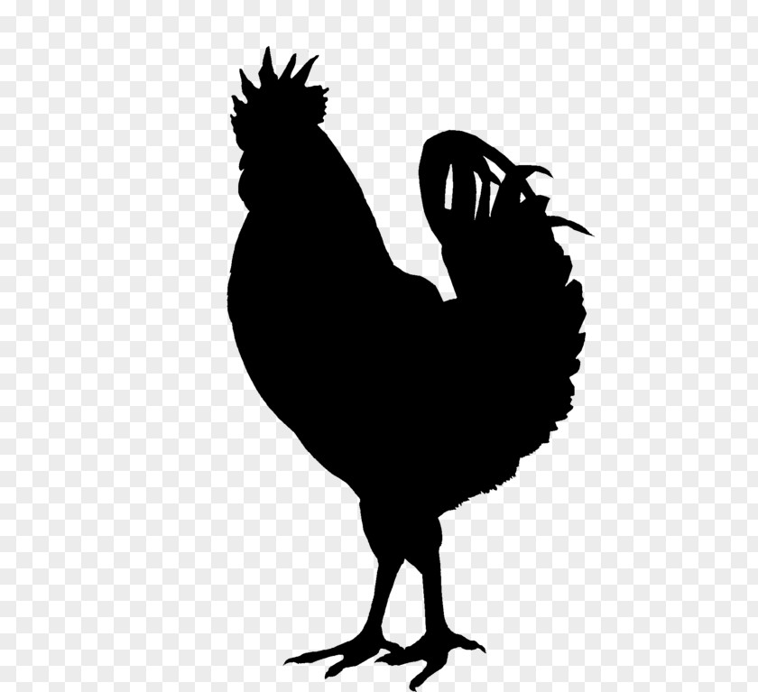 Chicken Silkie Rooster Silhouette Clip Art PNG