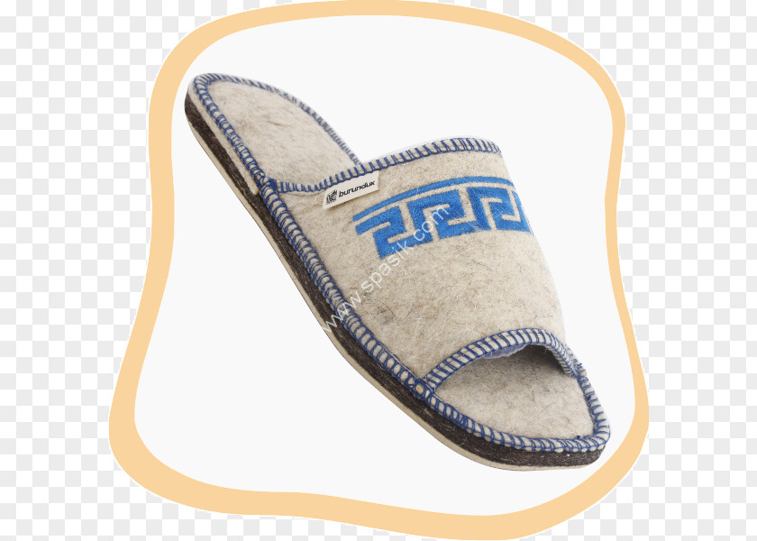 Flip-flops Slipper Shoe PNG