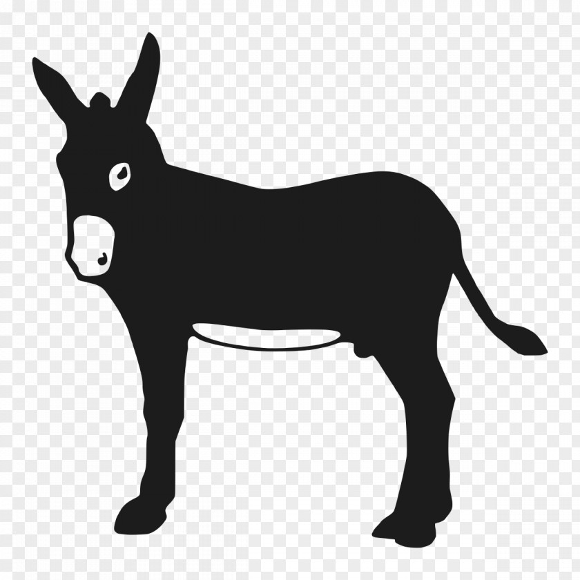 Mustang Mule Mane Snout Donkey PNG