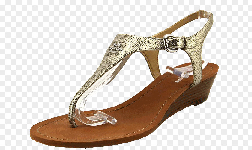 Sandal Slipper Wedge Flip-flops Shoe PNG