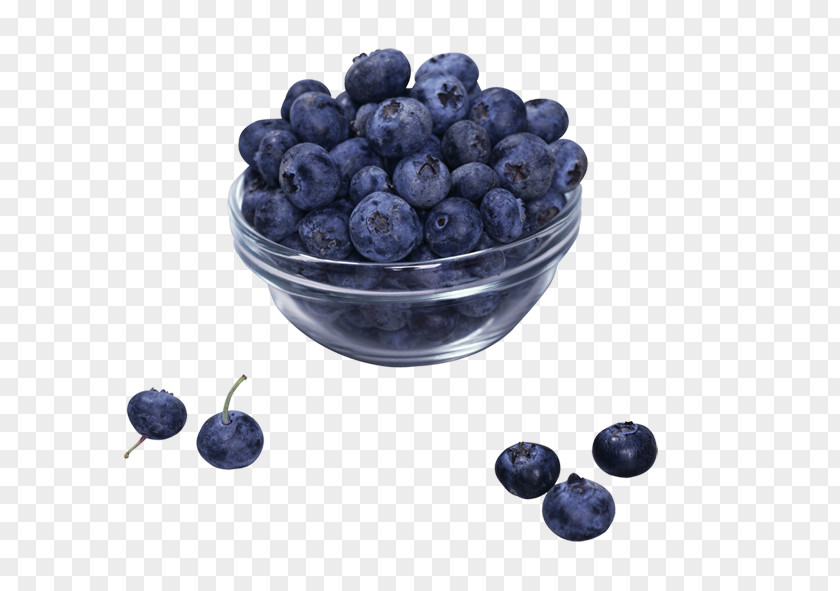 Blueberry Juice Frutti Di Bosco European Bilberry Ericaceae PNG