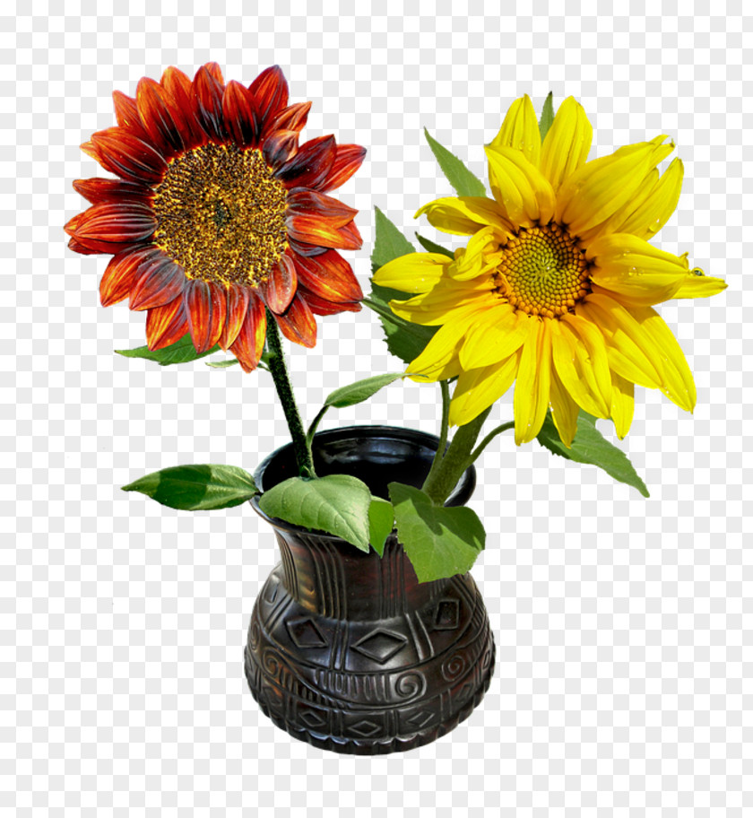 Flower Common Sunflower Vase Seed Flowerpot PNG