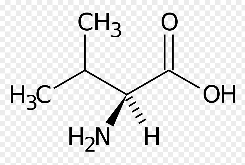 Formula Valine Structural Amino Acid Chemical Alanine PNG