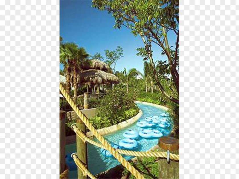 Hotel Hyatt Residence Club Bonita Springs, Coconut Plantation Swimming Pool Resort PNG