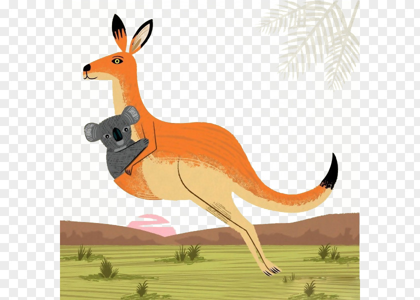 Kangaroo Koala Australia Wombat Illustration PNG