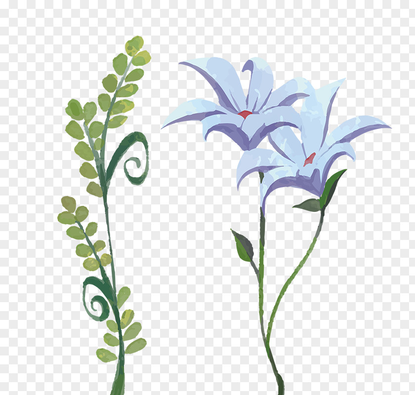 Larkspur Image Painting Vector Graphics Download PNG