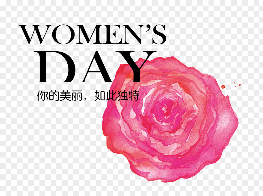 Pink Flower Festive Decoration International Womens Day Woman March 8 Lancxf4me No PNG