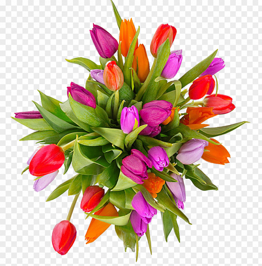 Tulip Bouquet Picture Material Flower Easter Clip Art PNG