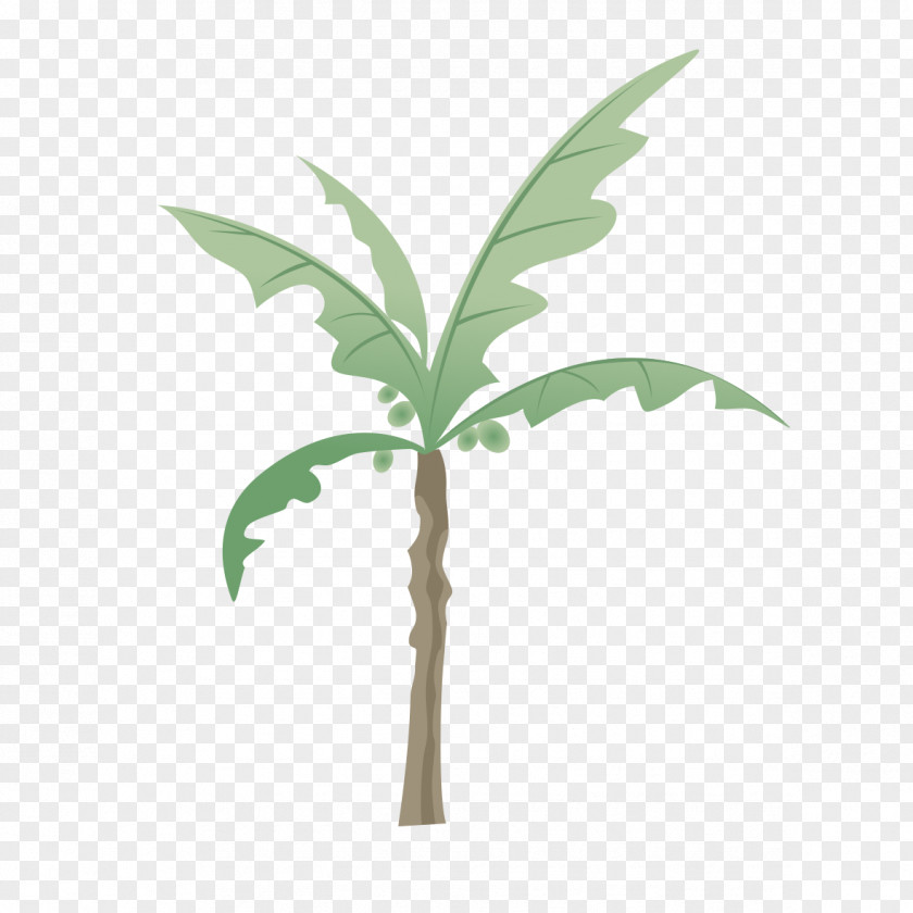 Coconut Tree Model Toys Branch PNG