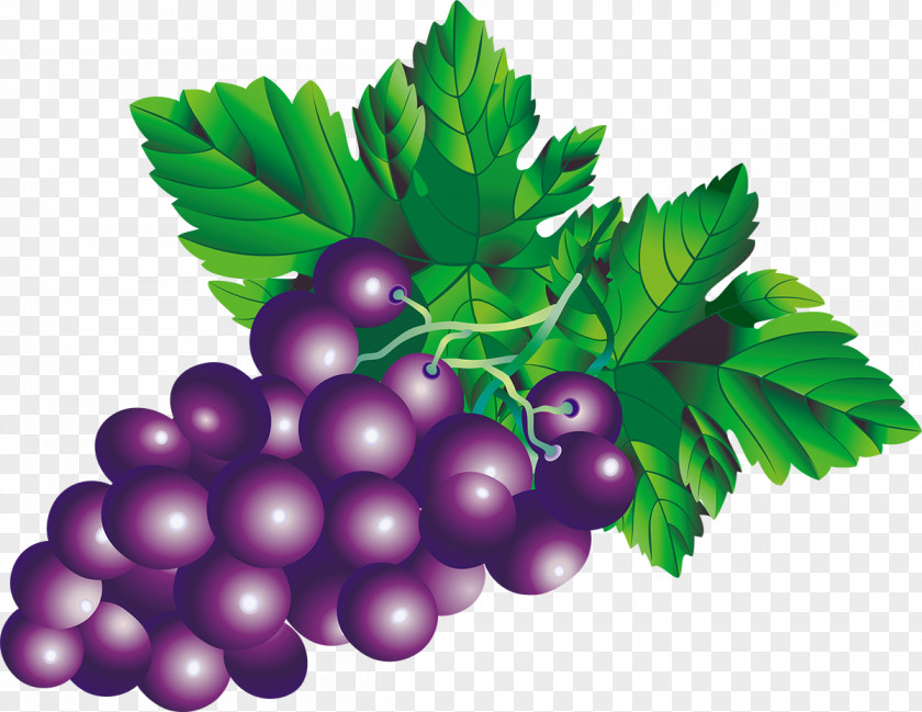 Grape Juice Fruit Drawing PNG
