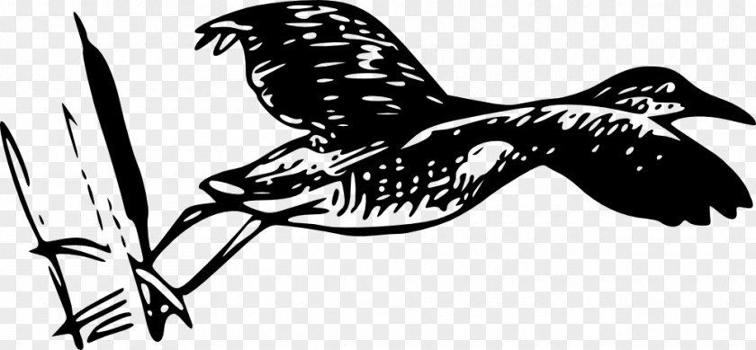 Bird Line Art Drawing PNG