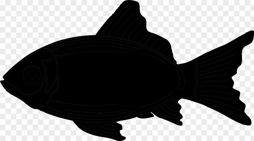 Fish Black M PNG