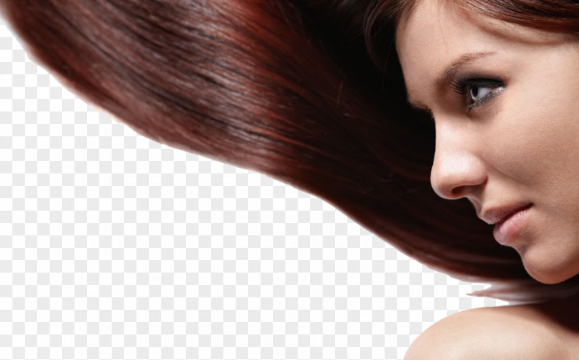 Hair Model Hairstyle Cosmetics Long PNG