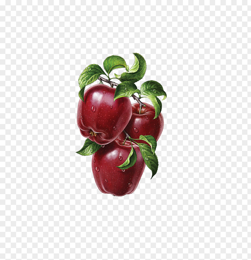 If The Tongue Illustrator Graphic Design Fruit Behance Illustration PNG