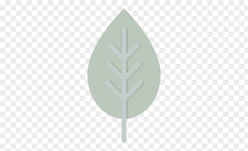Leaf Green Tree Plant Pine Family PNG