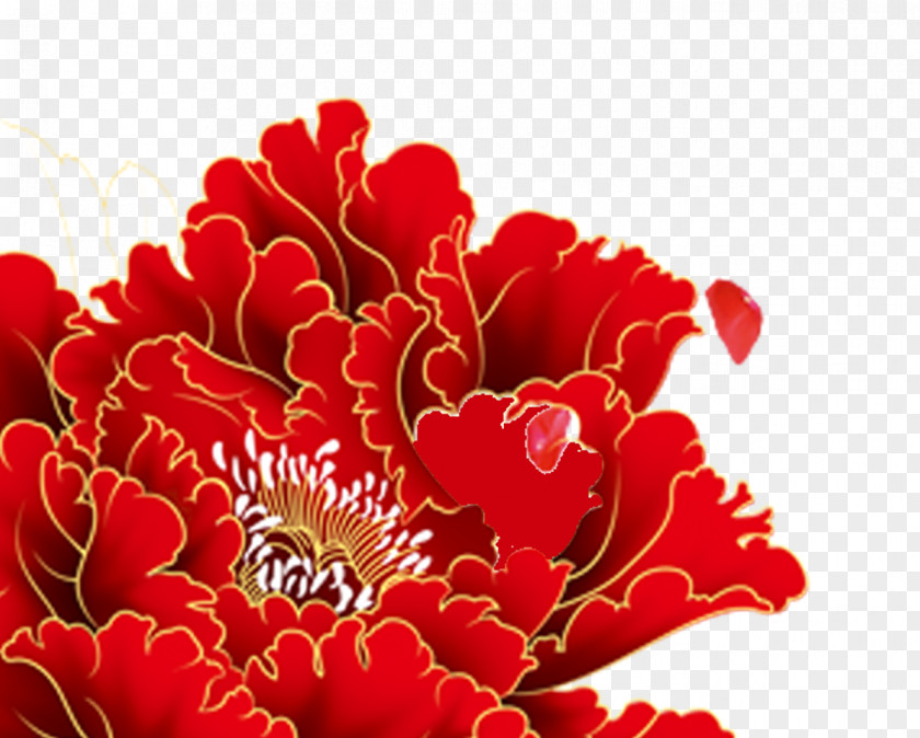Peony Flowers China Chinese New Year Download Computer File PNG