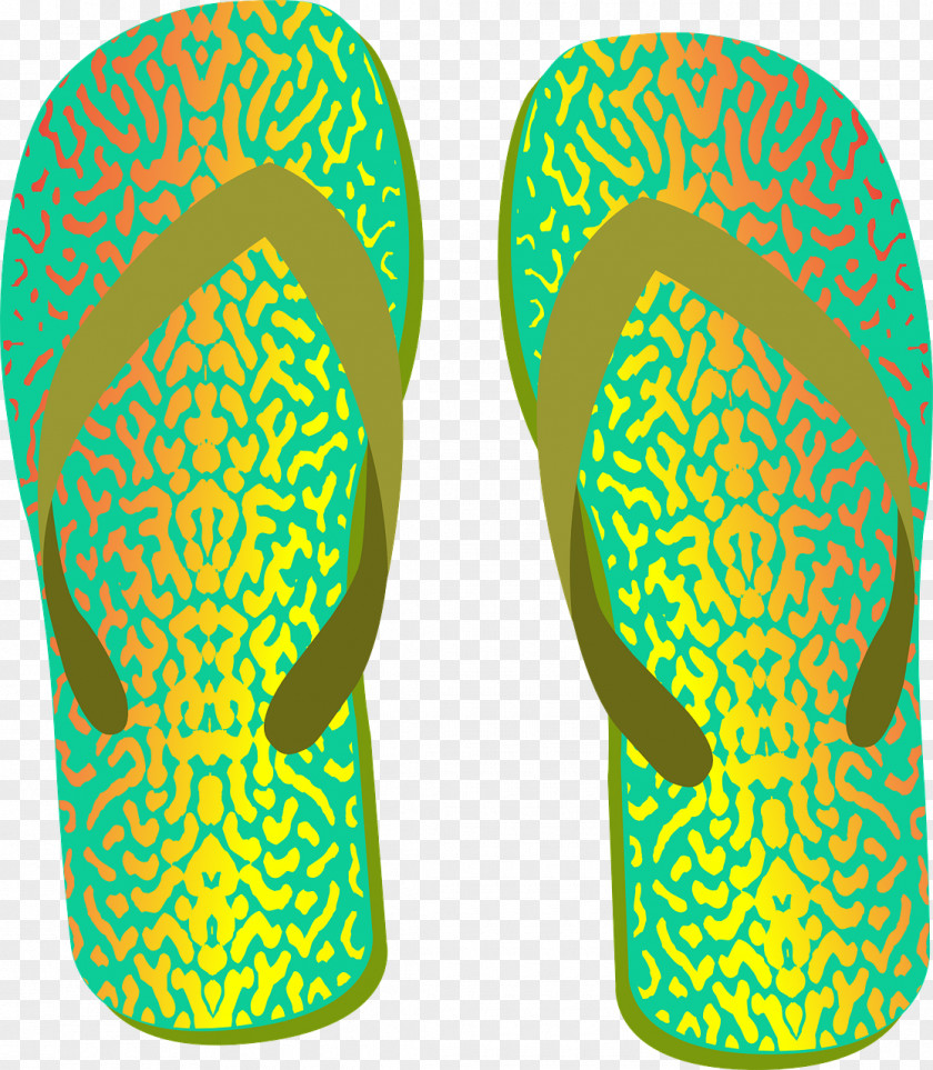 Shoes Slipper Flip-flops Shoe Footwear PNG