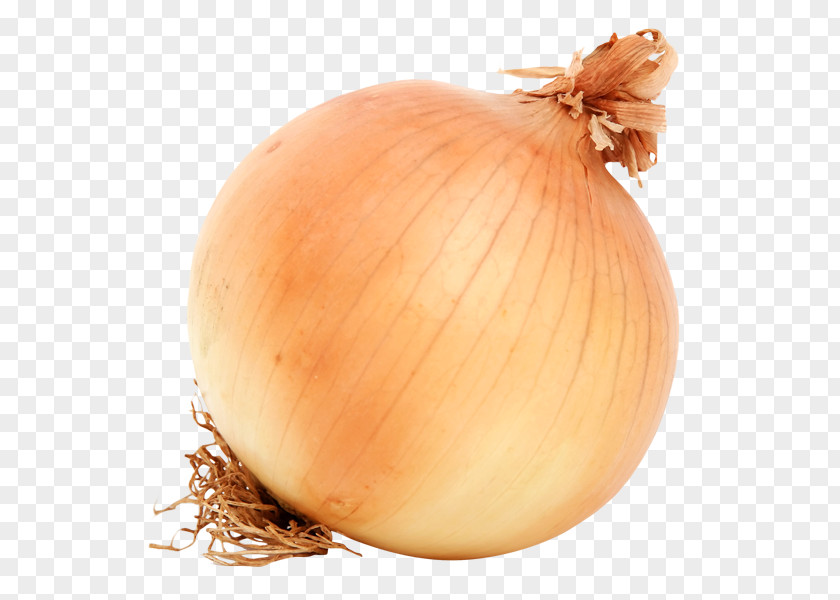 Vegetable Yellow Onion Mandi PNG