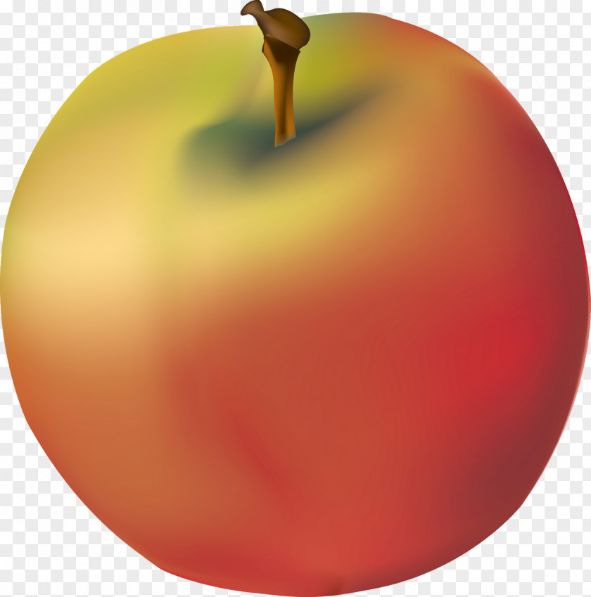 Degradado Apple Color Gradient Graphics Christmas Ornament Computer PNG