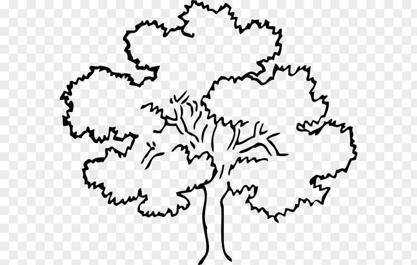 Lineart Vector Tree Drawing Clip Art PNG