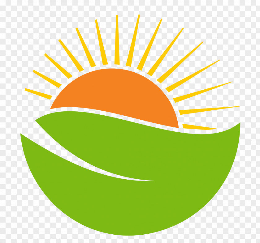 Vector Sun Logo Sticker PNG