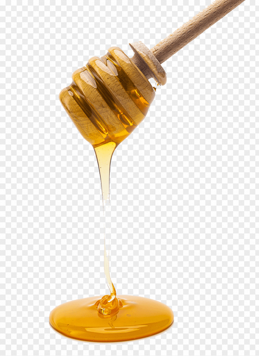 Honey Decoration Bee Milk Veganism PNG