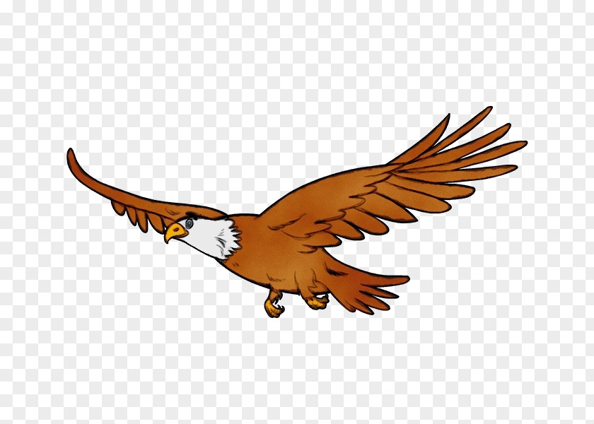 Logo Wildlife Bird Line Drawing PNG
