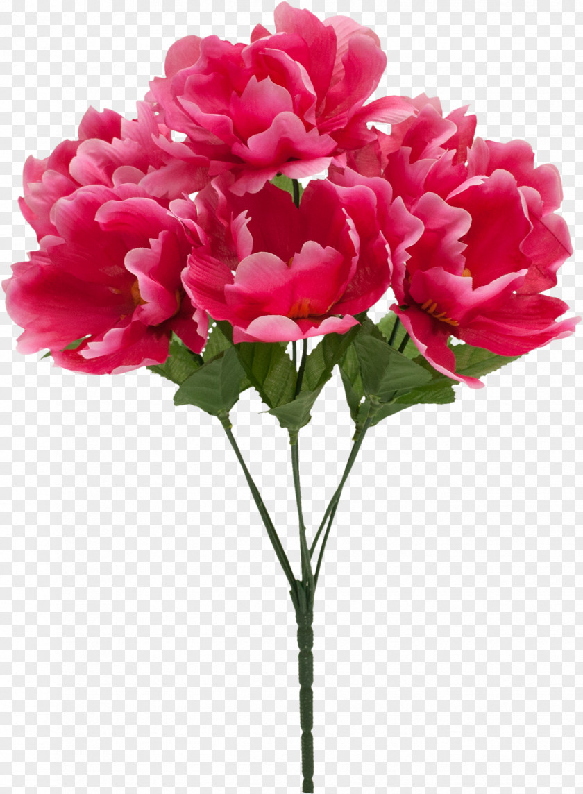 Peony Peonies Transparent Garden Roses Cut Flowers Artificial Flower PNG