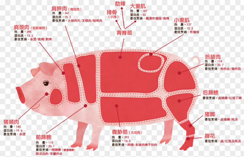Pig Meat Pork Food PNG