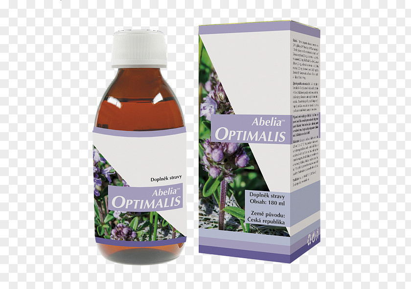 Wild Thyme Detoxification Herbalism Medicine Dietary Supplement PNG
