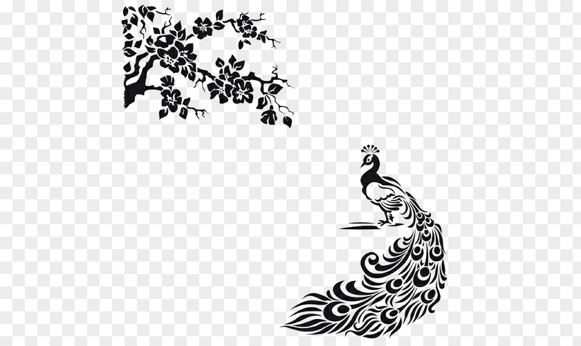 Feather Peafowl Drawing Vector Graphics Line Art Clip PNG
