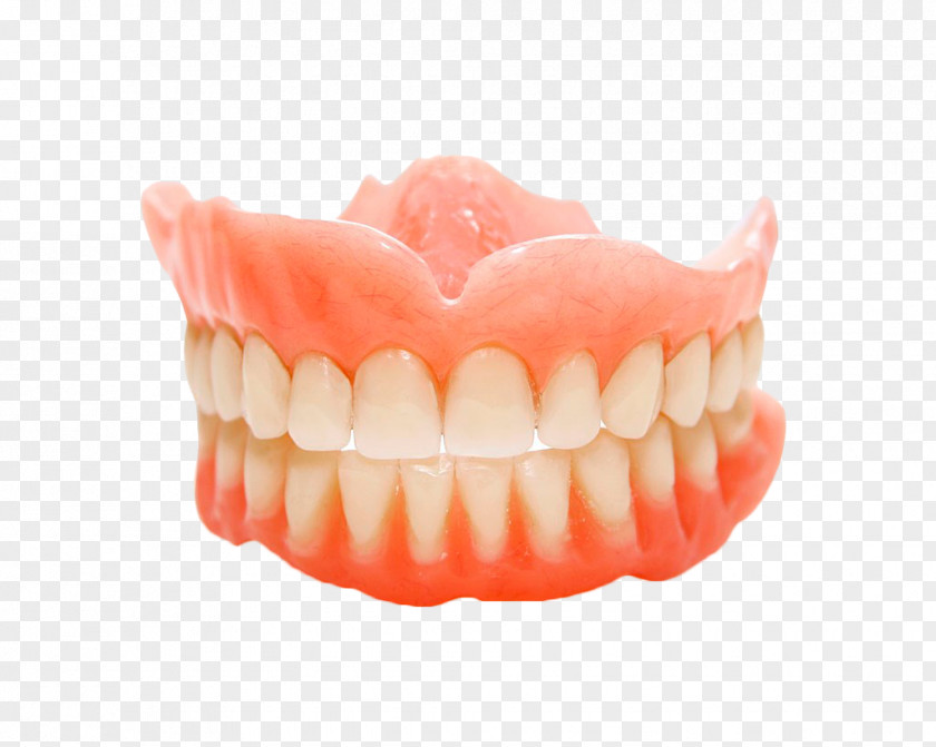 Hand Painted Teeth Dentures Removable Partial Denture Dental Implant Dentistry PNG