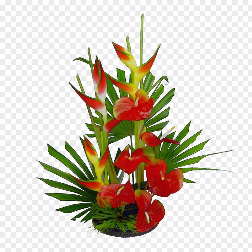 Heliconia Gladiolus Watercolor Floral Background PNG
