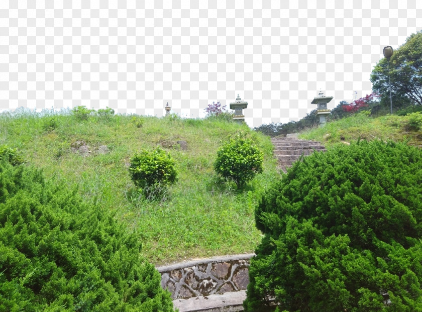 Jiuxian Mountain Lawn Monuments Euclidean Vector Download Computer File PNG