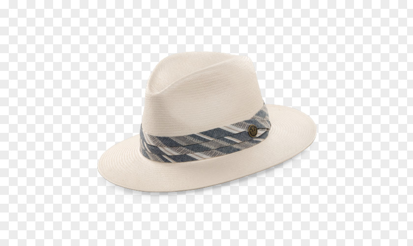 Summer Hat Fedora PNG