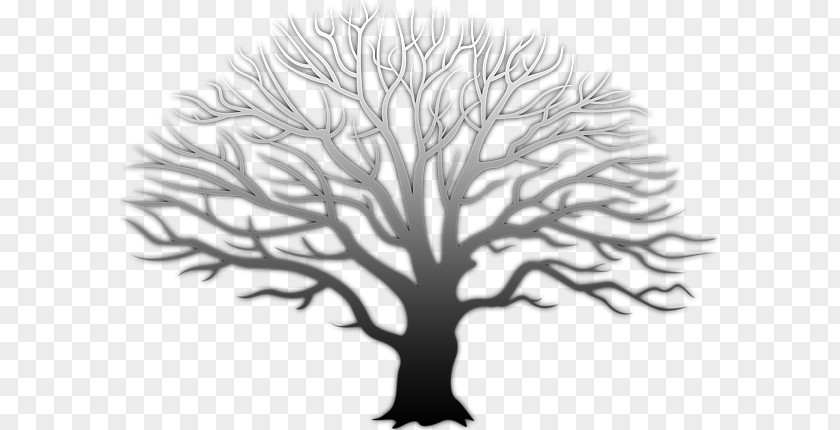 Tree In Winter Clip Art PNG